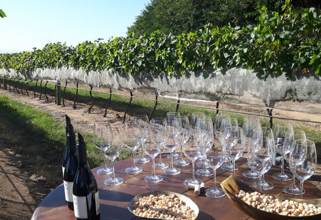 Espírito Santo do Pinhal: Charme, Café e Vinhos no Interior Paulista